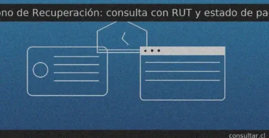 Bono de Recuperación: consulta con RUT el estado y pagos; revisa si tienes beneficios por cobrar en el portal “No lo Cobraste” (depósito informado por ChileAtiende para este bono)