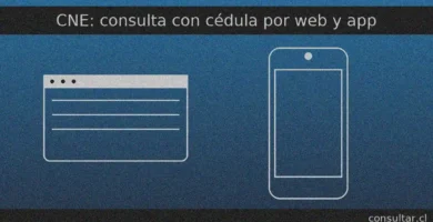CNE: consulta con tu cédula por web y por la app oficial para revisar tu lugar de votación y datos del registro electoral.