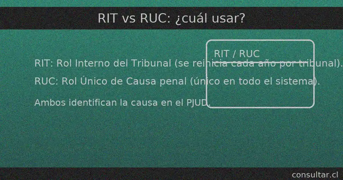 RIT: Rol Interno del Tribunal, se reinicia cada año por tribunal. RUC: Rol Único de Causa penal, único en todo el sistema.