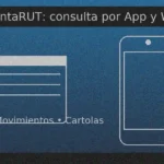 Consulta tu saldo, movimientos y cartolas de CuentaRUT desde la App BancoEstado o la Banca en Línea.