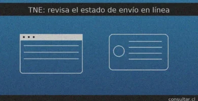 TNE: revisa el estado de envío y emisión en el portal oficial de la TNE/JUNAEB